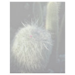 Hairy Cactus With Small Red Flower flowers Letterhead