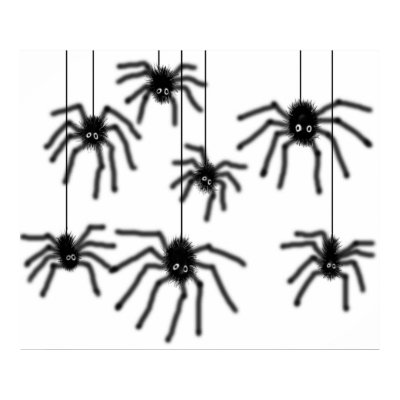 external image hairy_cartoon_spiders_poster-p228637057177391224td2a_400.jpg