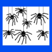 Hairy Cartoon Spiders Poster