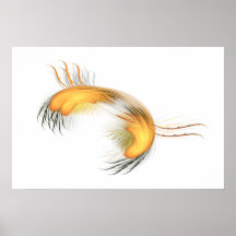 Hairy Crab Posters