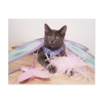 hairy fairy postcards by KatAnnette hairy fairy postcards