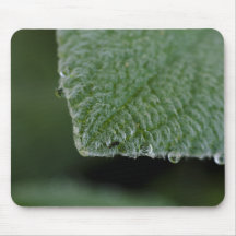 hairy-leaf-2012-05-26 mousepads
