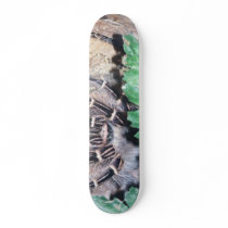 HAIRY SPIDER 6 SKATEBOARD DECK