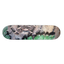 HAIRY SPIDER 6 SKATEBOARD DECK
