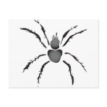 Hairy Spider Postcard