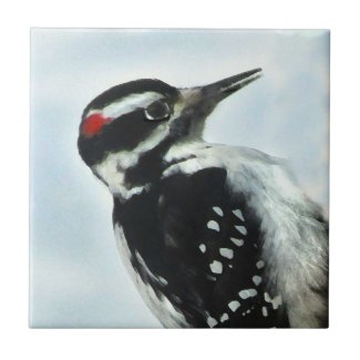 Hairy Woodpecker Ceramic Tile