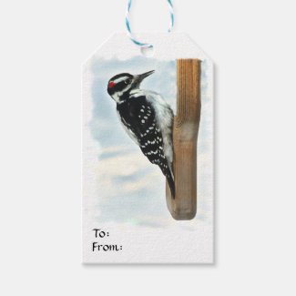 Hairy Woodpecker Gift Tag