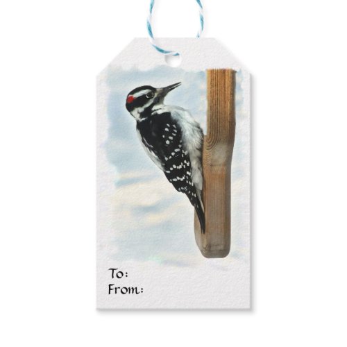 Hairy Woodpecker Gift Tag Pack Of Gift Tags