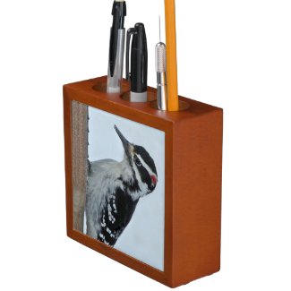 Hairy Woodpecker Pencil Holder