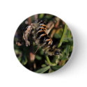 Hairy Worm Button