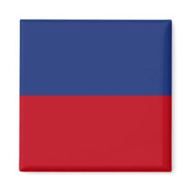 Haiti High quality Flag Fridge Magnet