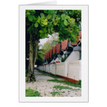 Haiti, West Indies, Caribbean cards by christellewiggins Haiti, West Indies, Caribbean cards