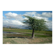 Haitian Countryside 2 posters by Trebor43 Haitian Countryside 2 posters