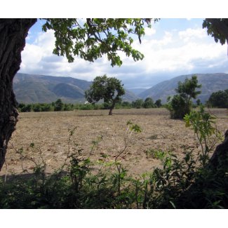 Haitian Countryside mousepad