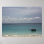 Haitian Tranquility Posters