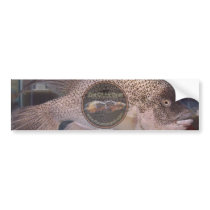 Haitians 2 bumper stickers by oscar_azac Haitians 2 bumper stickers