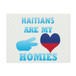Haitians are my Homies Postcards