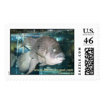 Haitians postage