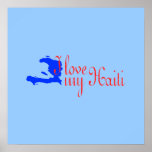haitimap001 poster