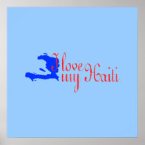haitimap001 poster