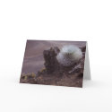 Haleakala Silversword cards by cbensen Haleakala Silversword cards