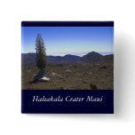 Haleakulo Ahinahina buttons