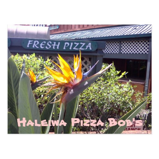 Haleiwa Pizza Bob's Post Card