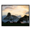 Haleiwa Sunset posters