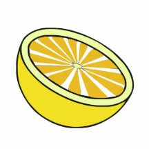 Half a Lemon Photo Sculptures