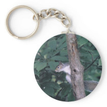 Half a Squirell key chain
