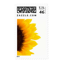 Half a Sunflower Postage Stamps