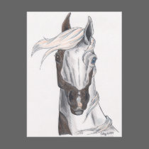 Half Bald Paint postcards by smilodonart Half Bald Paint postcards