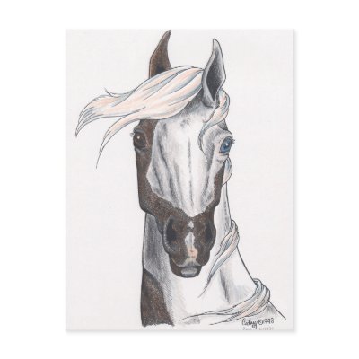 Half Bald Paint Postcard by smilodonart