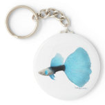 Half Black Blue Fancy Guppy Keychains