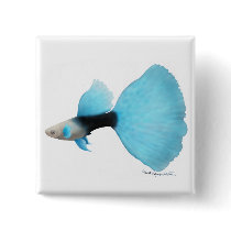 Half Black Blue Fancy Guppy Pin