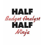 Half Budget Analyst Half Ninja Tee Shirt