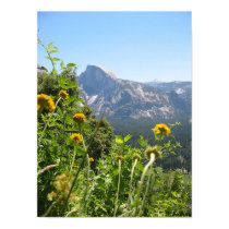 Half Dome in Spring posters