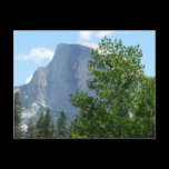Half Dome in Summer Postcard