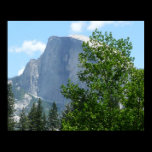 Half Dome in Summer Print