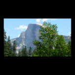 Half Dome in Summer Wide Format Print