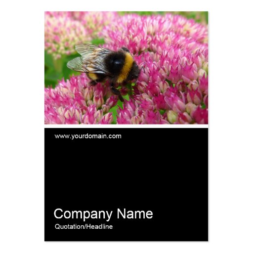 Half&Half Photo 0235 - Bumble Bee on Sedum Business Card Template