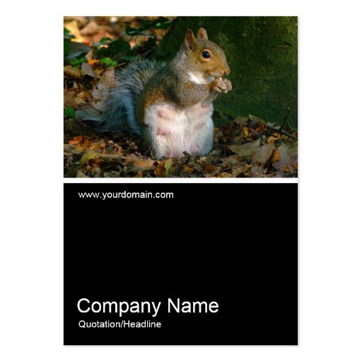 Half&Half Photo 0251 - Grey Squirrel Business Card Template (front side)