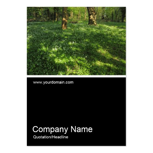 Half&Half Photo 0366 - Spring in the Woods Business Card Template
