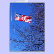 half mast cards