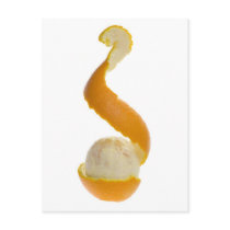 external image half_peeled_orange_postcard-p239295783531997825trah_210.jpg
