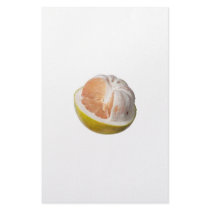 Half peeled pomelo stationery