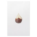 Half peeled snake fruit customized stationery