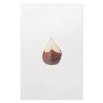 Half peeled snake fruit customized stationery
