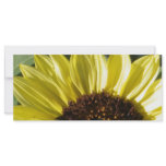 Half Sunflower Full Color Rack Card