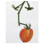 Half vine tomato flyers